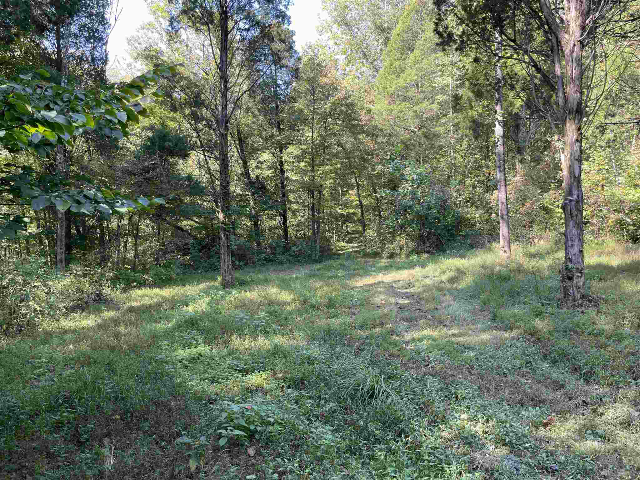 Mifflin Westfork Road English, IN 47118 - Photo 9 of 21