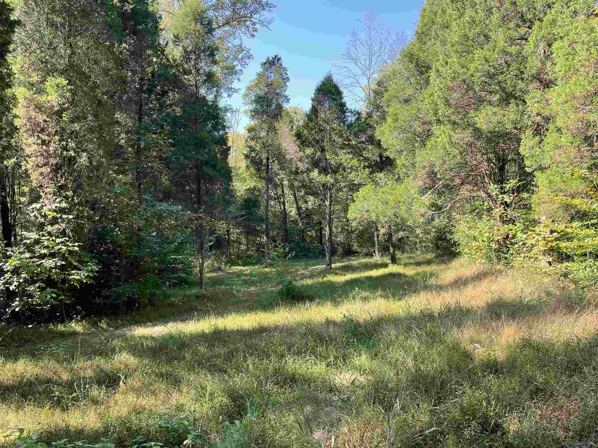 Mifflin Westfork Road English, IN 47118 - Photo 10 of 21