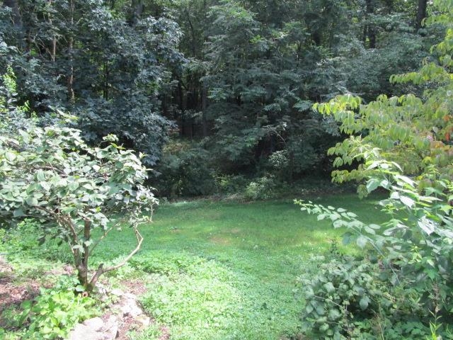 12088 Foley Road Fenton, MI 48430 - Photo 19 of 21 50118676-18.JPG
