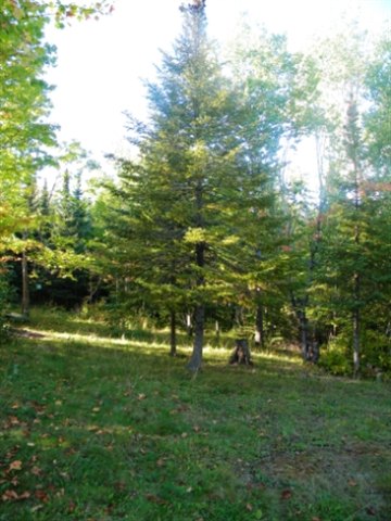 6480 Pioneer Junction Road Duluth, MN 55804 - Photo 3 of 3