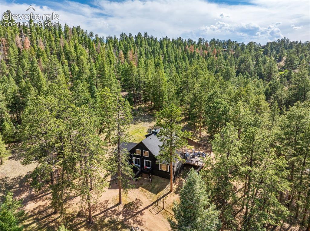 986 Apache Road Florissant, CO 80816 - Photo 41 of 50