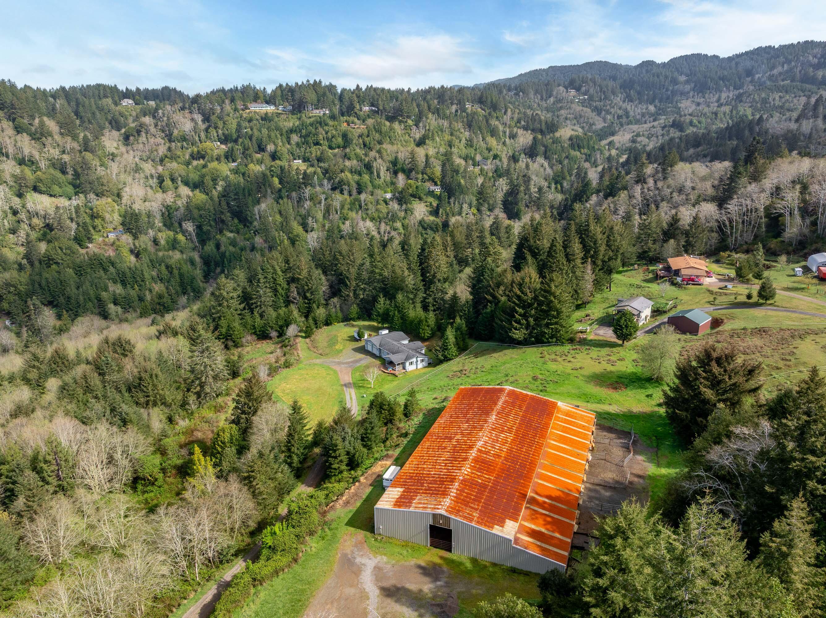 96295 Alder Ridge Road Brookings, OR 97415 - Photo 45 of 51 DRONE (11 of 12)