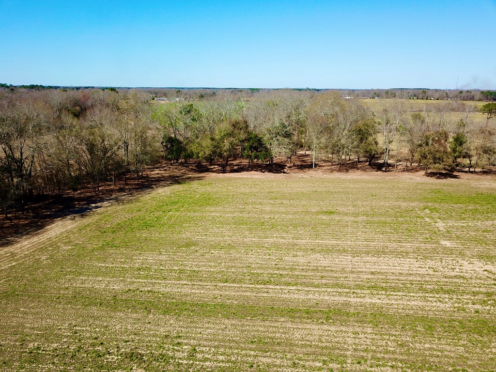 4.9-acres Grady Garner Road Slocomb, AL 36375 - Photo 12 of 70