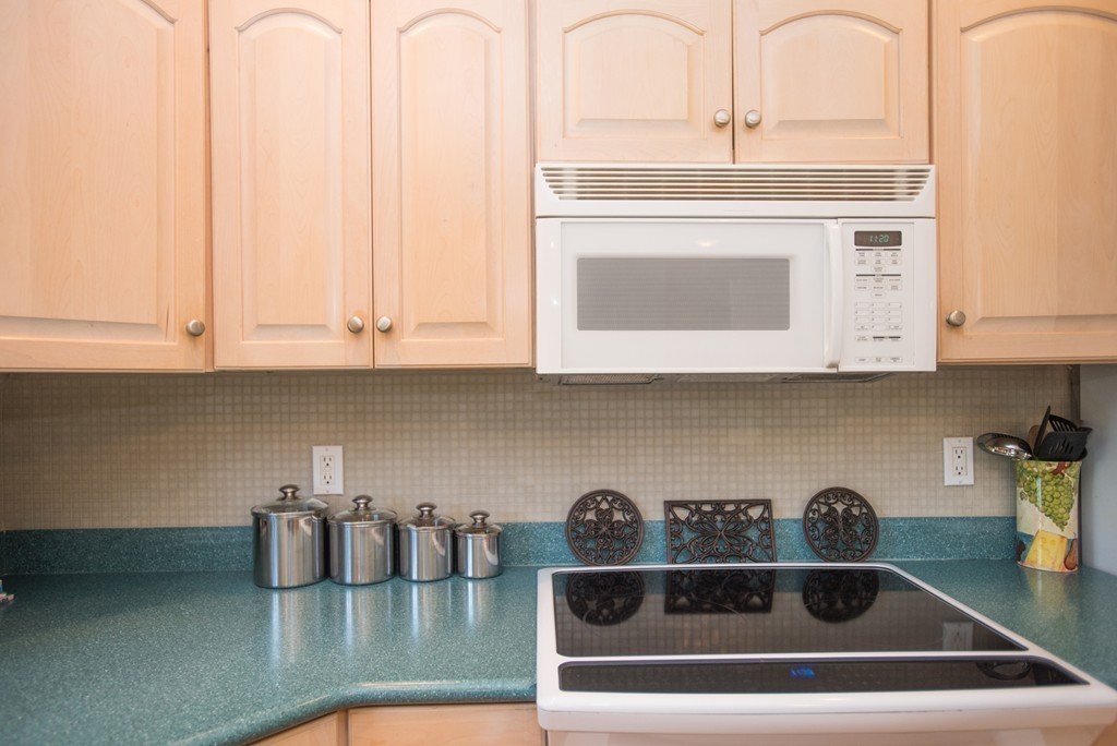 20 Emerson Road Watertown, MA 02472 - Photo 17 of 30