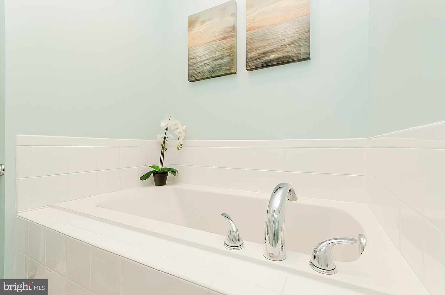 613 Thumper Drive Ranson, WV 25438 - Photo 27 of 35 soaking tub