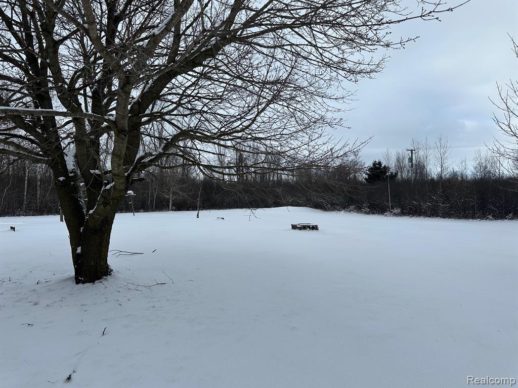 3803 Warner Road Cass City, MI 48726 - Photo 78 of 85