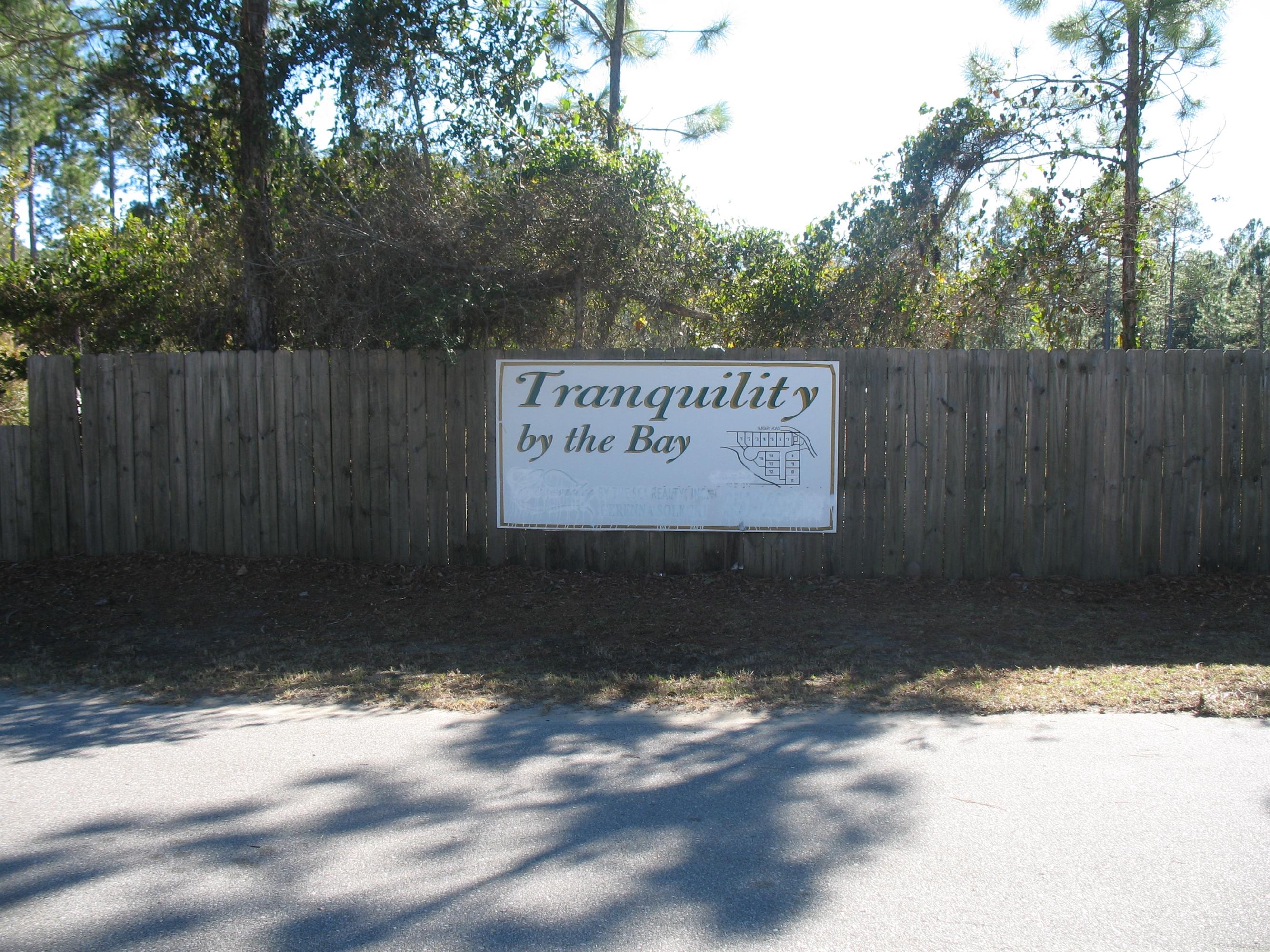 0 Tranquility Lane Santa Rosa Beach, FL 32459 - Photo 5 of 10 IMG_0211