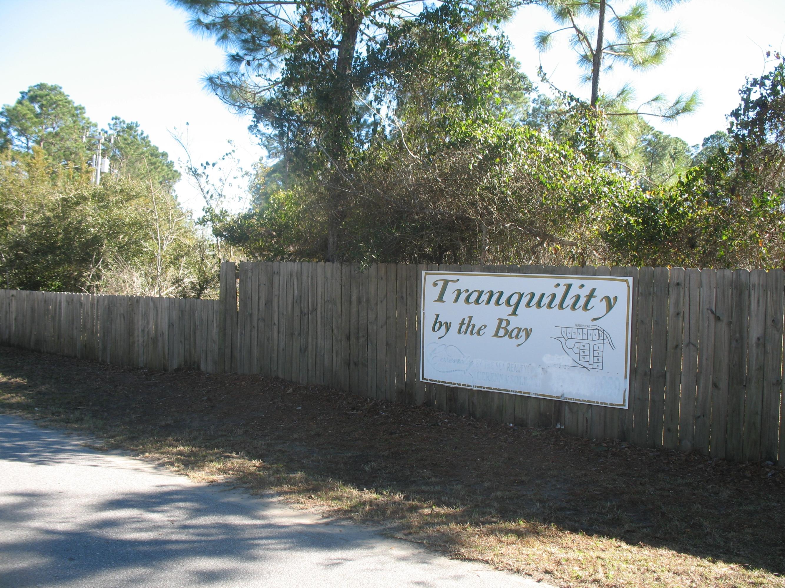 0 Tranquility Lane Santa Rosa Beach, FL 32459 - Photo 6 of 10 IMG_0212