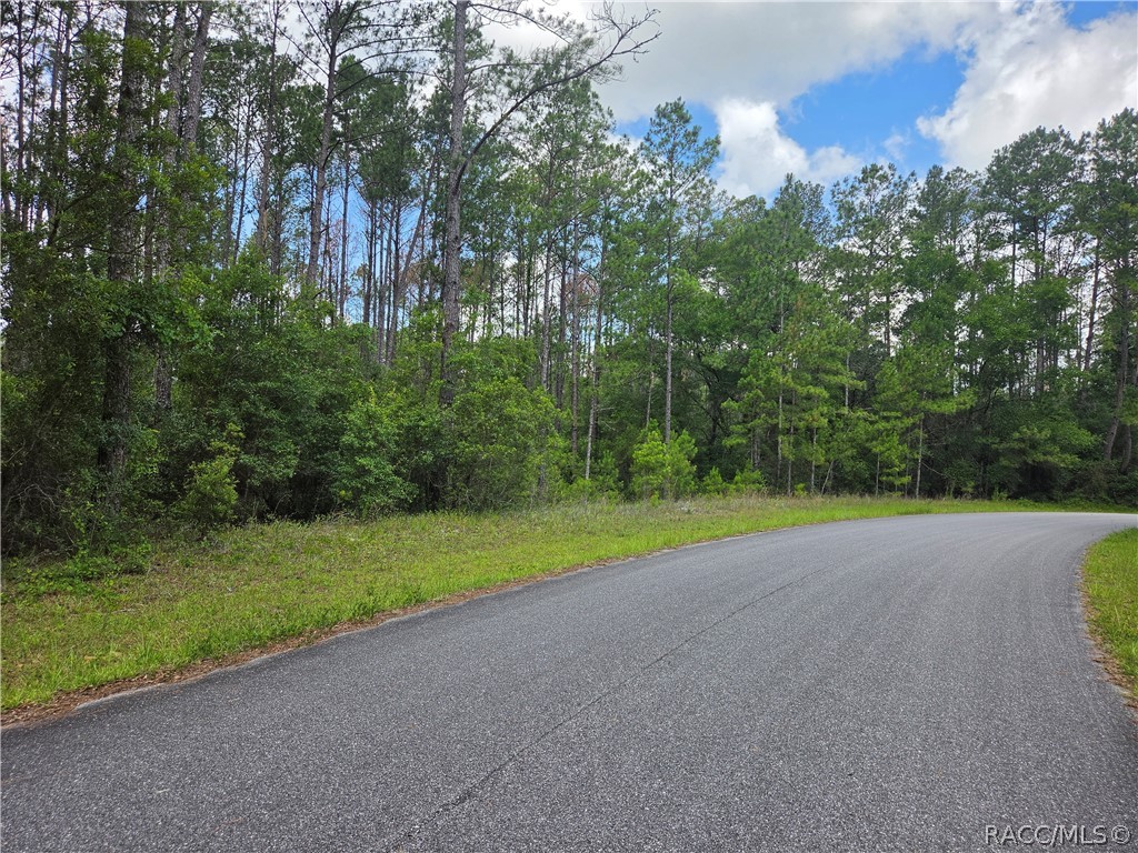 8826 North Irondale Road Dunnellon, FL 34434 - Photo 4 of 4