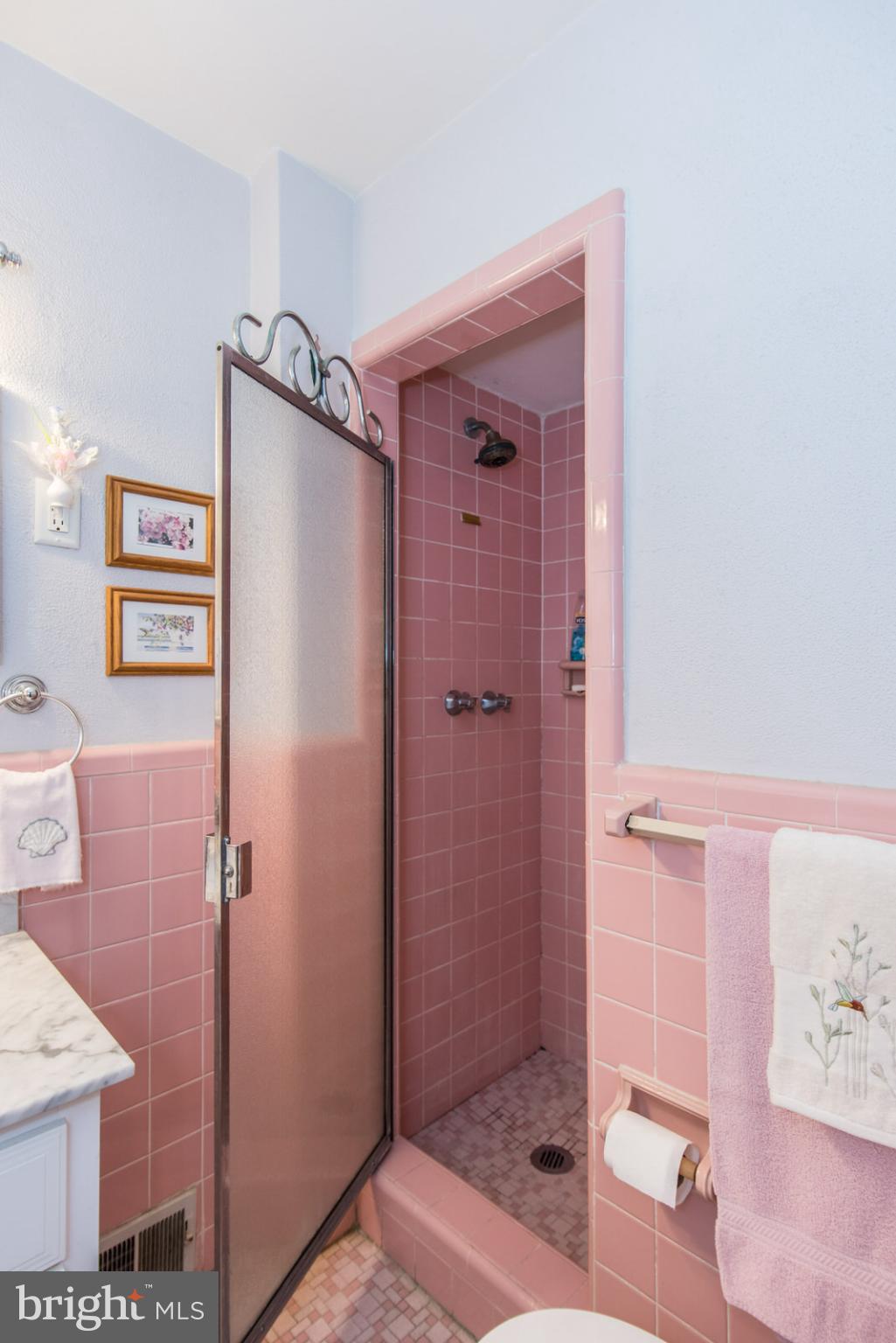 8931 Blue Grass Road Philadelphia, PA 19152 - Photo 35 of 85 Primary bathroom
