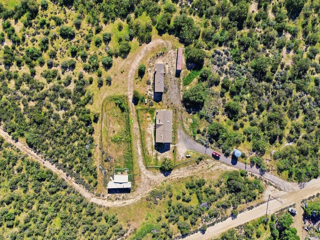 909 Tierra De Luna Road Boulevard, CA 91905 - Photo 73 of 74 a picture of a yard