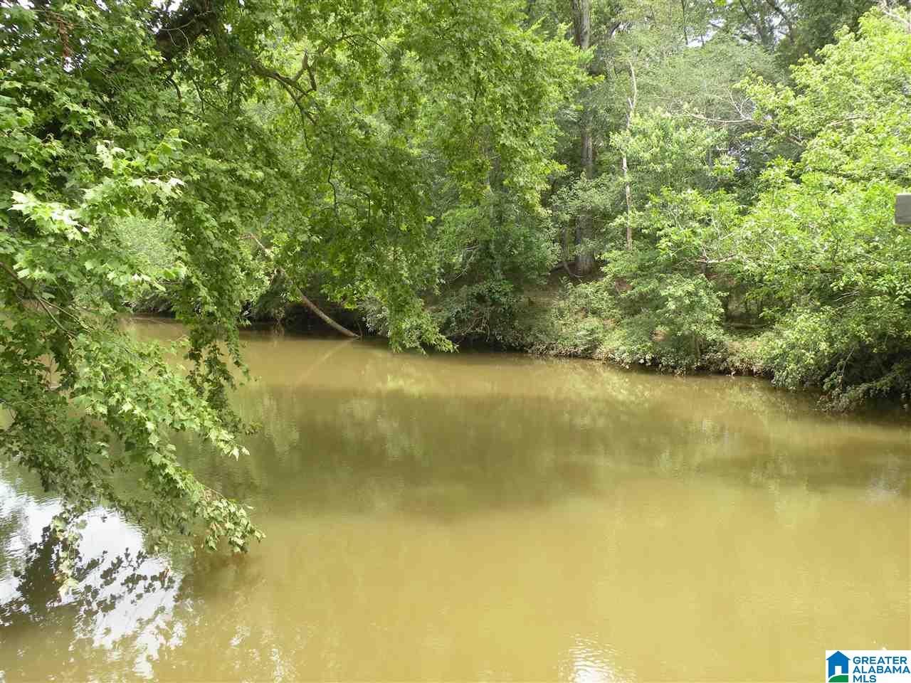 2593 Pecan Road Sylacauga, AL 35150 - Photo 44 of 48