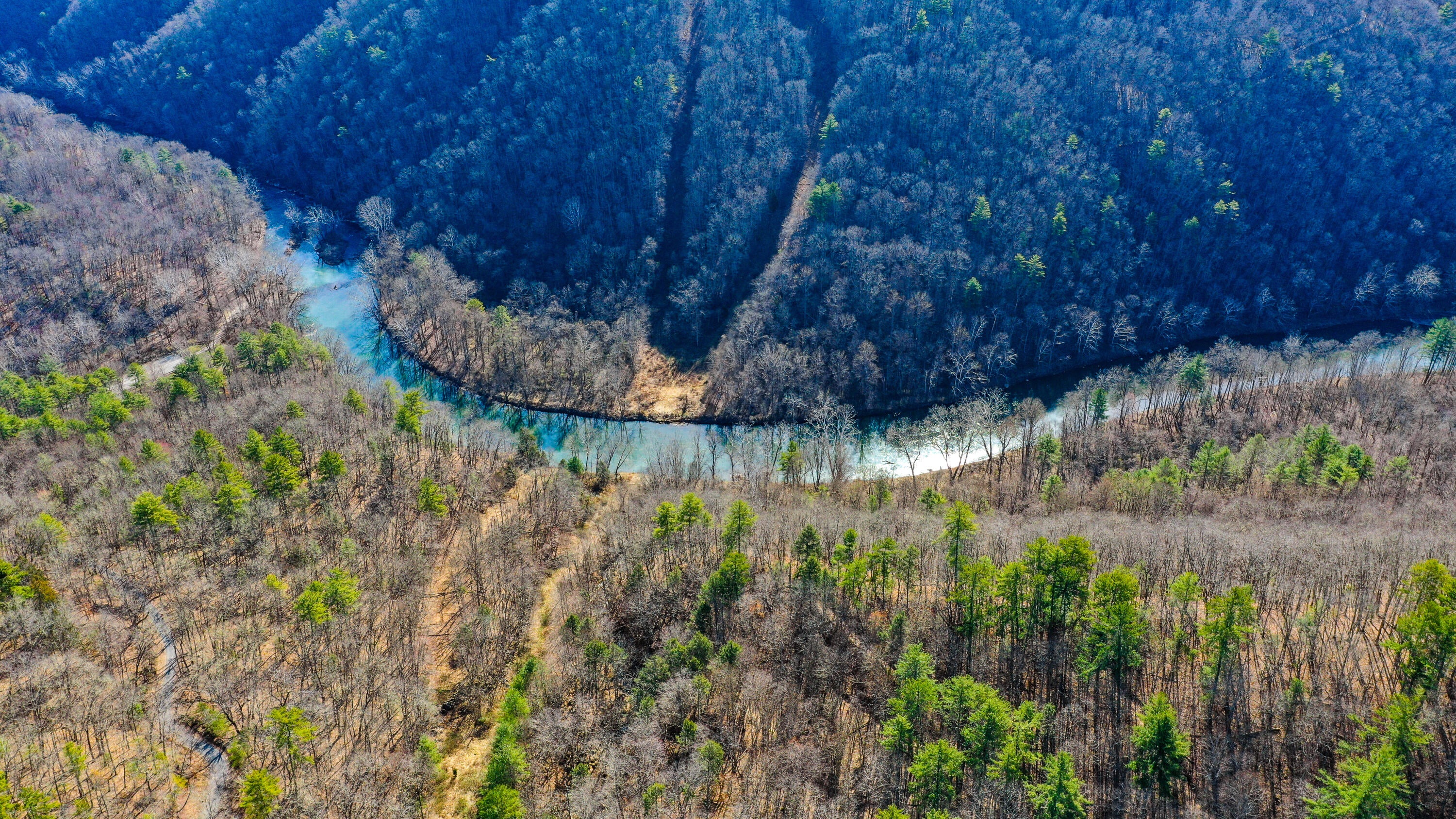 491 Bluestone River Road Jumping Branch, WV 25969 - Photo 61 of 63 Gallery Image 61
