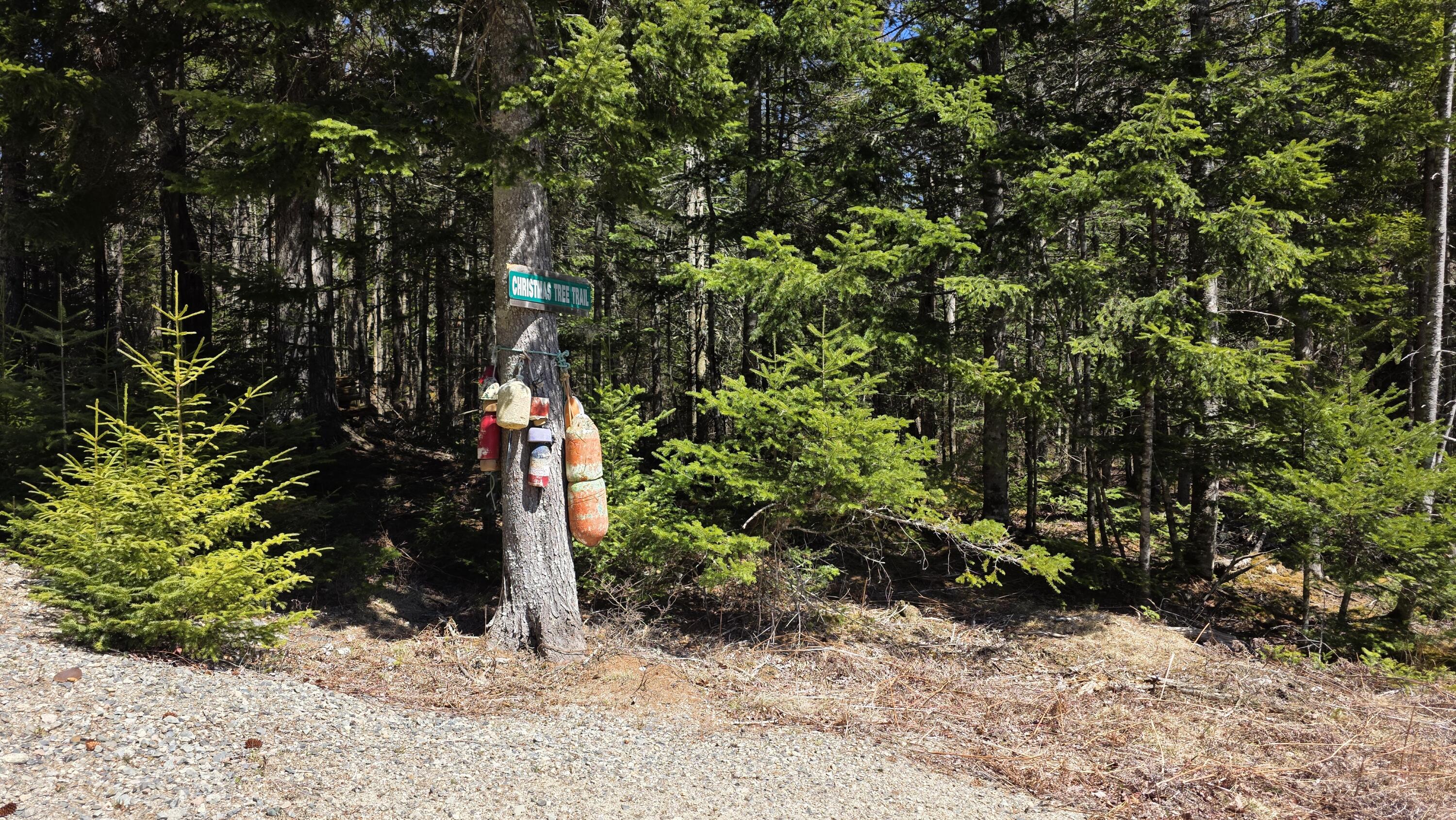 170 Ocean View Road Jonesboro, ME 04648 - Photo 47 of 65 Beginning of Trail