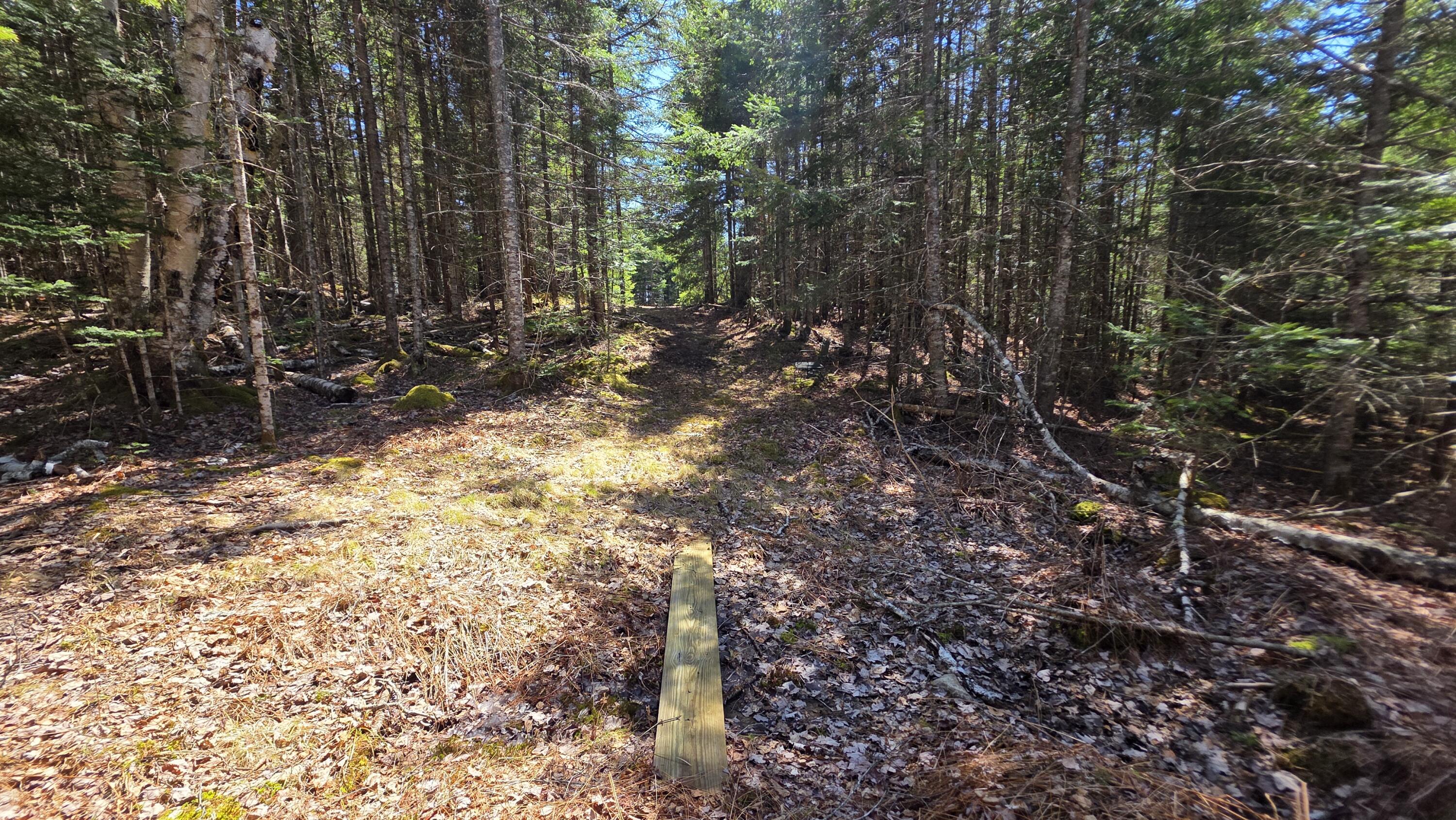 170 Ocean View Road Jonesboro, ME 04648 - Photo 49 of 65 20260428_132258
