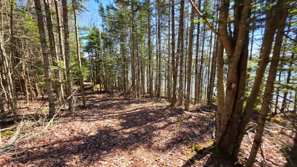 $659,900 | 170 Ocean View Road, Jonesboro, ME 04648