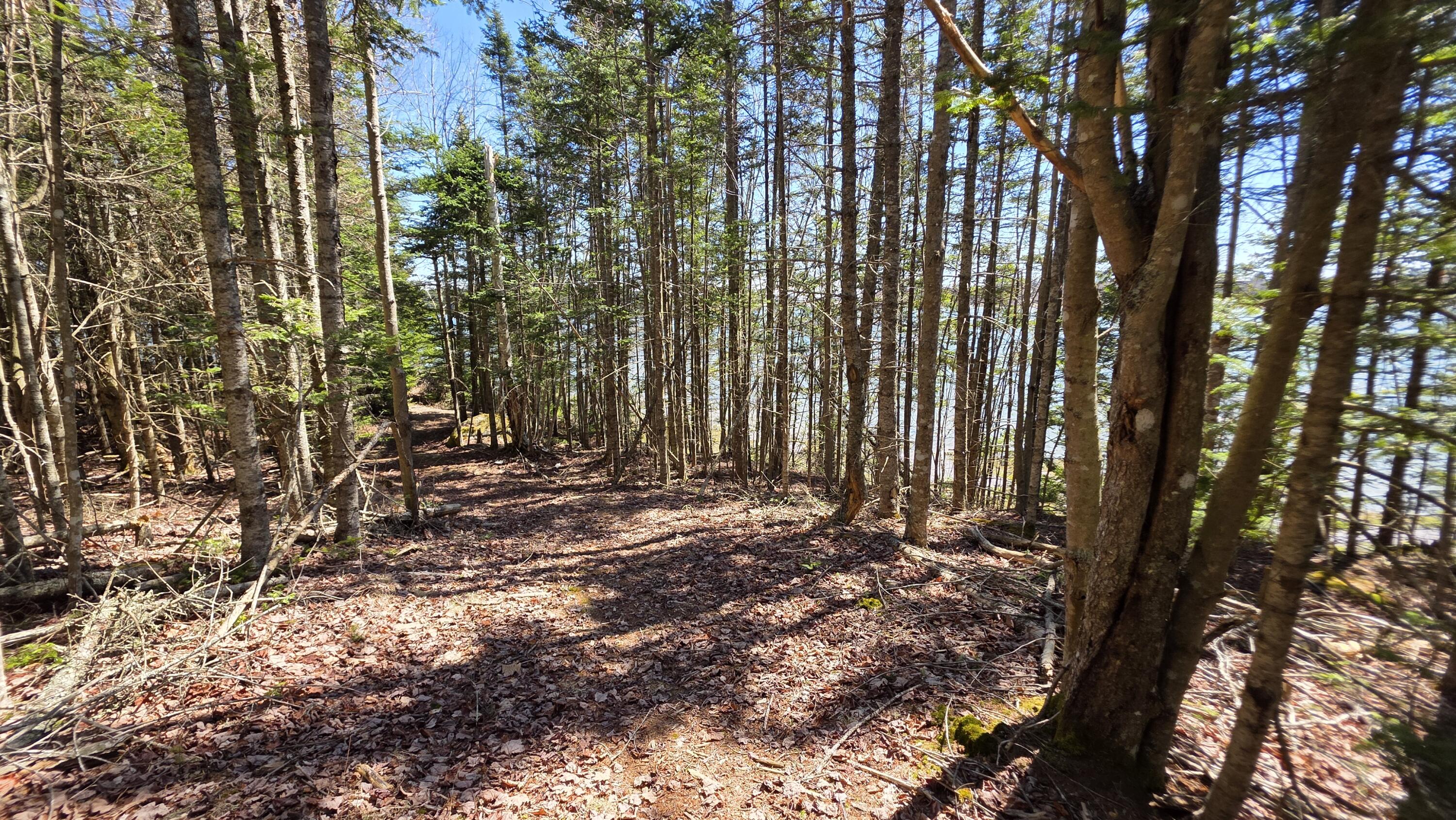 170 Ocean View Road Jonesboro, ME 04648 - Photo 50 of 65 20260428_132400