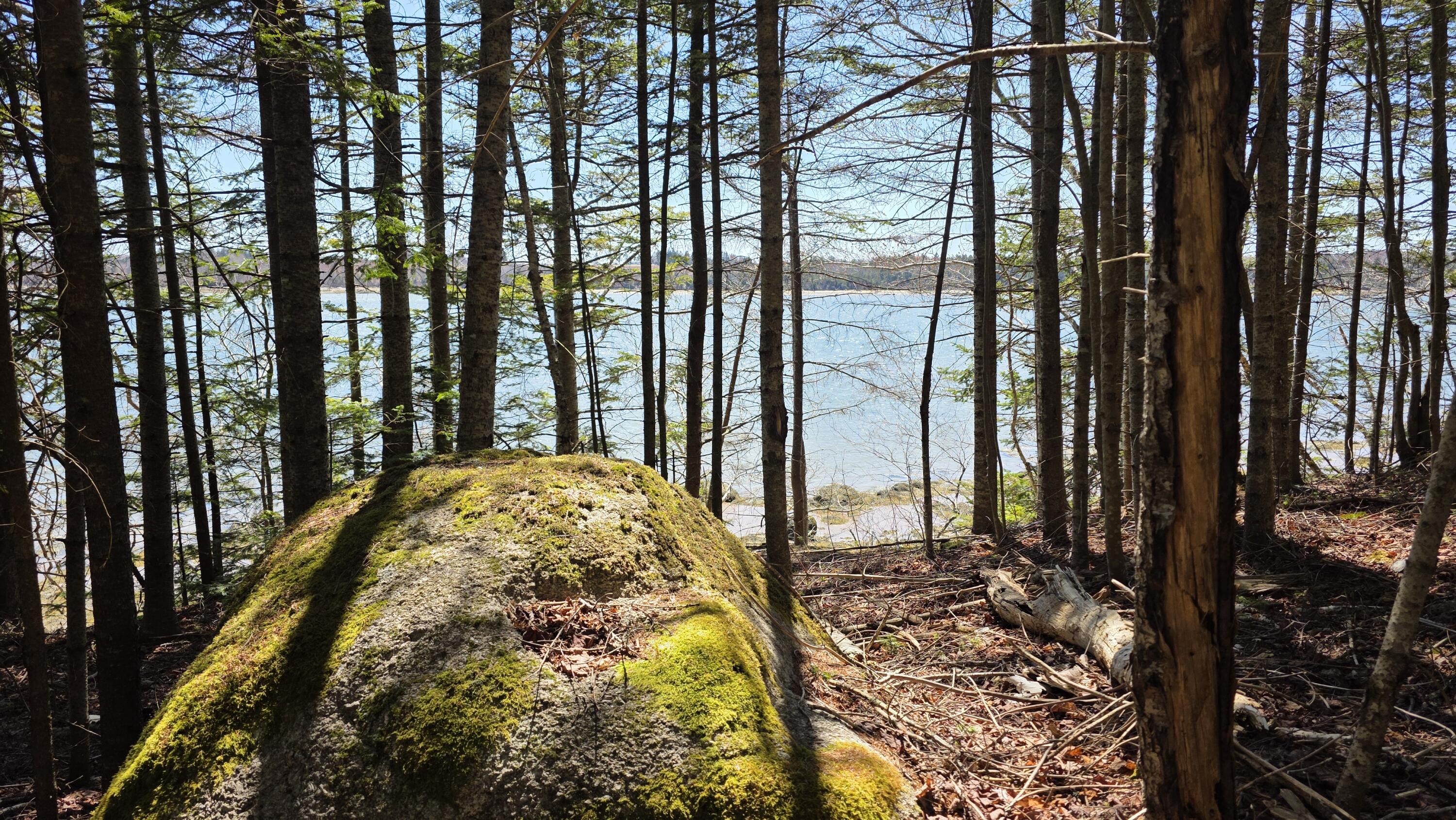 170 Ocean View Road Jonesboro, ME 04648 - Photo 51 of 65 20260428_132506