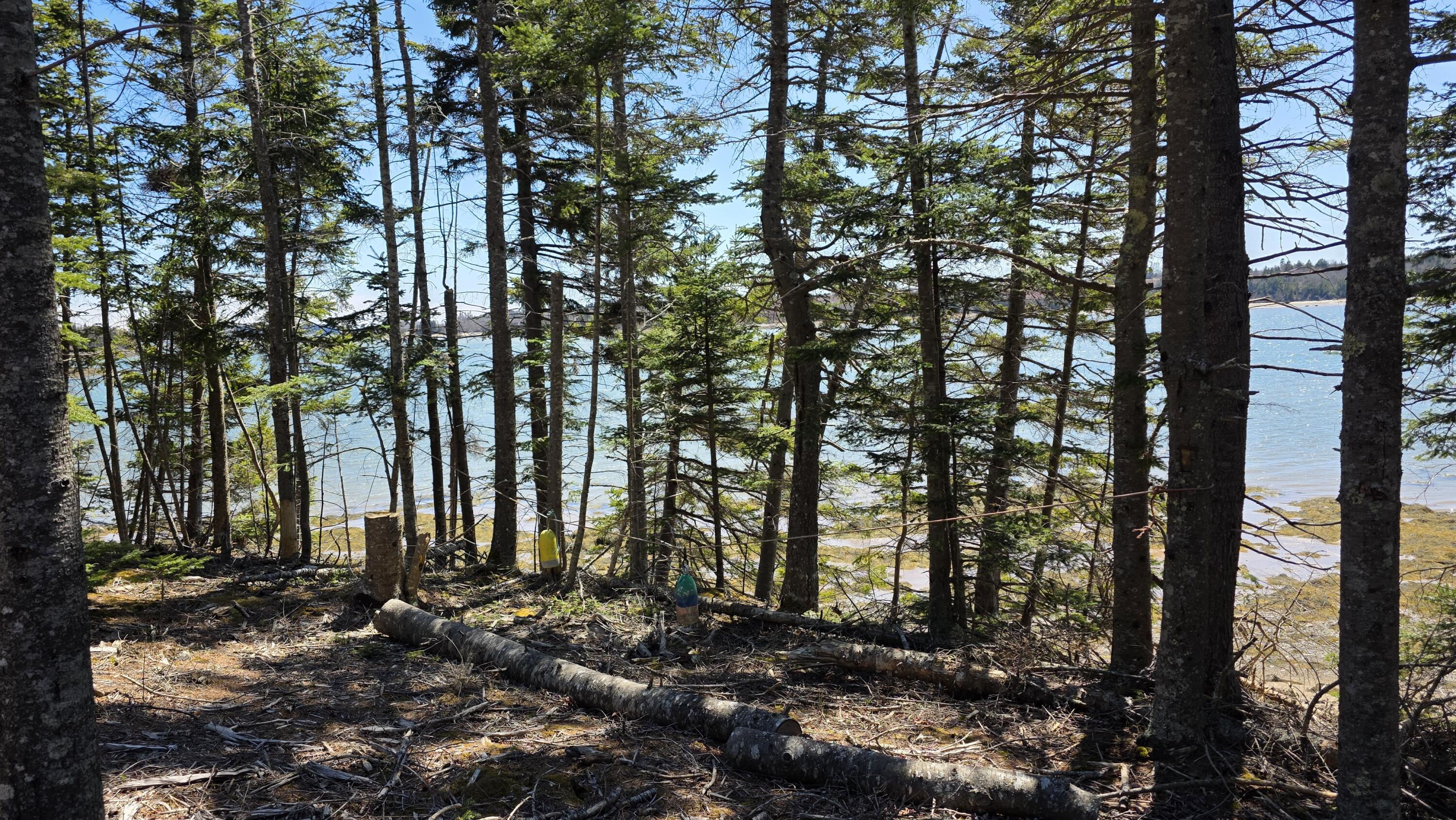 170 Ocean View Road Jonesboro, ME 04648 - Photo 52 of 65 20260428_132607