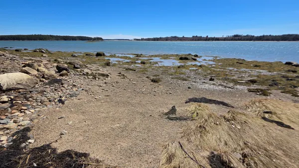 $659,900 | 170 Ocean View Road, Jonesboro, ME 04648