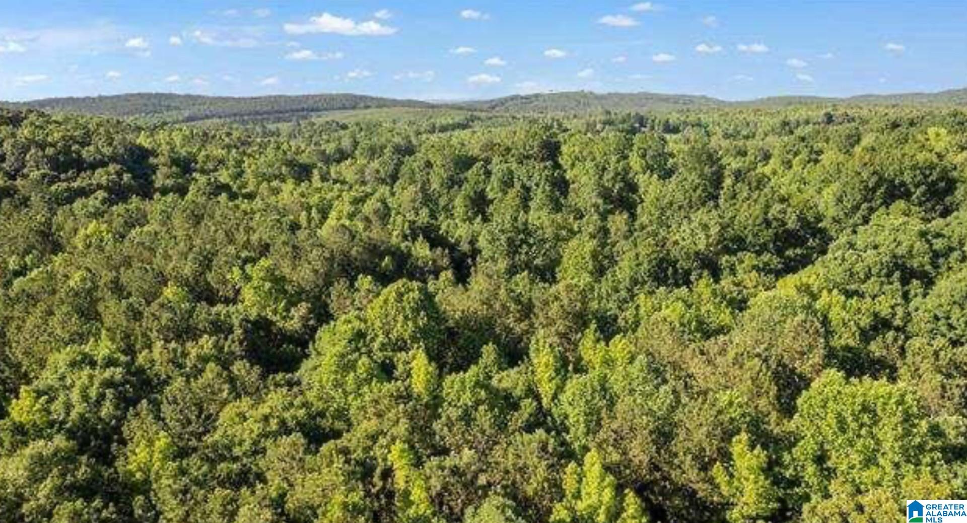 8120 County Road 25, Unit 2 Heflin, AL 36264 - Photo 1 of 3
