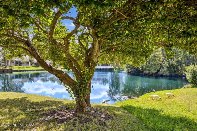 a view of a lake in a forest
