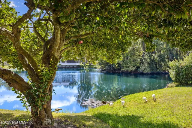a view of back yard of the house