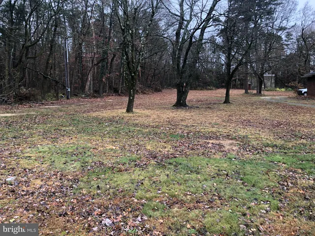 a view of park with trees
