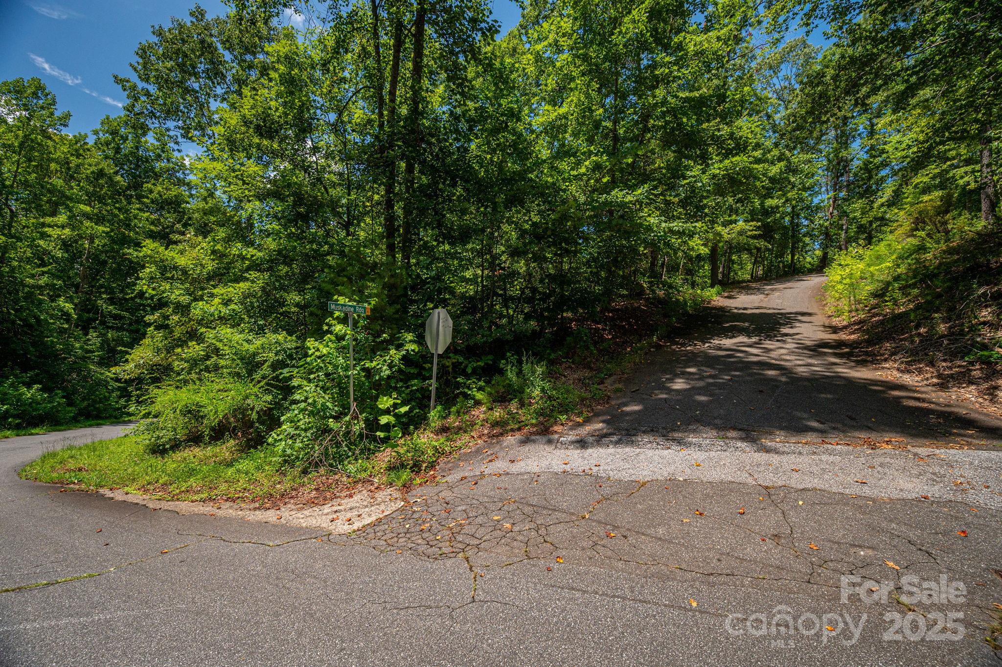 Lot 177 Plantation Drive Rutherfordton, NC 28139 - Photo 6 of 19 a view of a wooden fence with trees