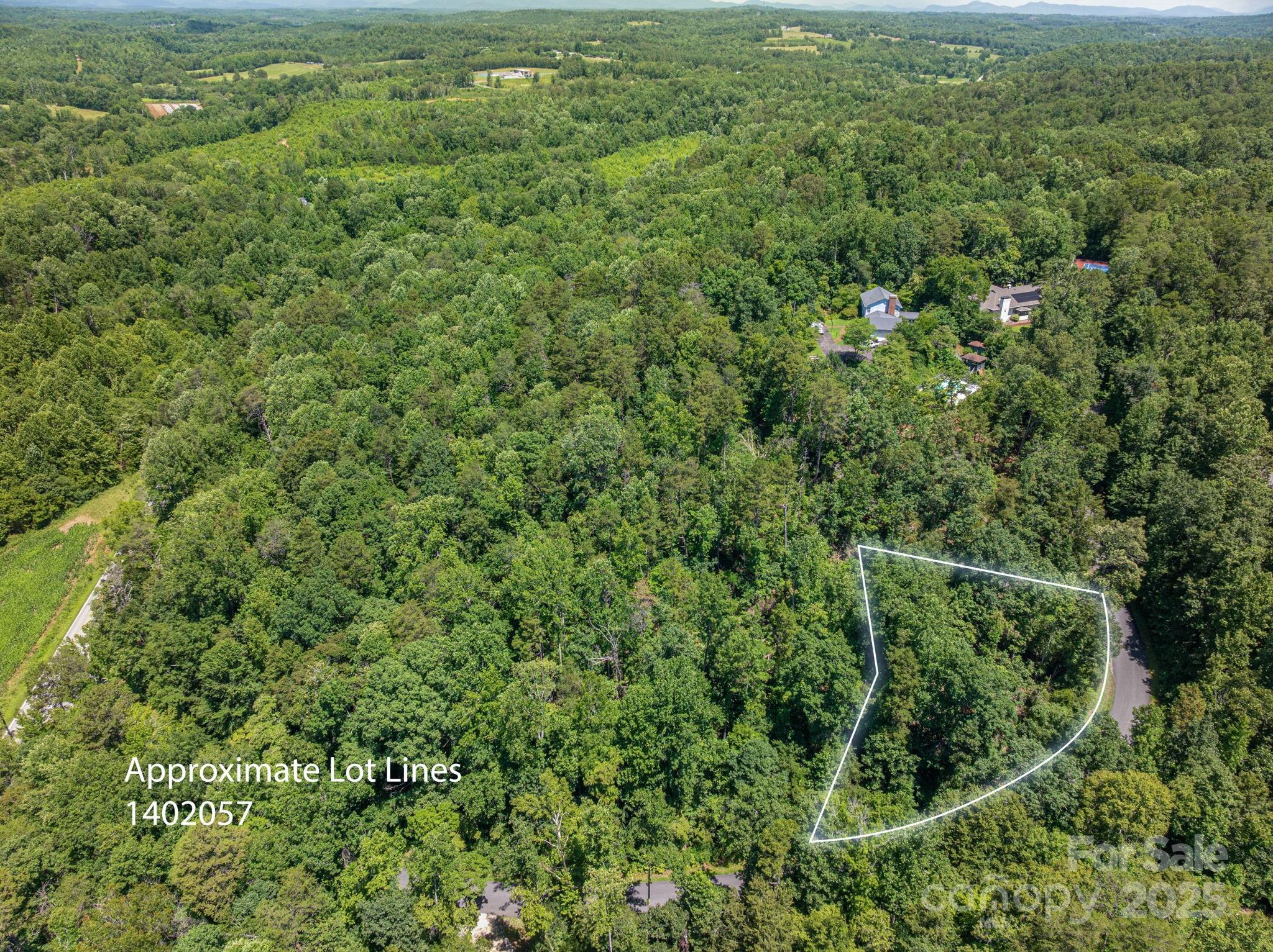 Lot 177 Plantation Drive Rutherfordton, NC 28139 - Photo 7 of 19 an aerial view of residential houses with outdoor space and trees