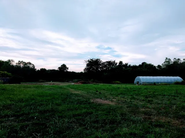 a view of a grassy field