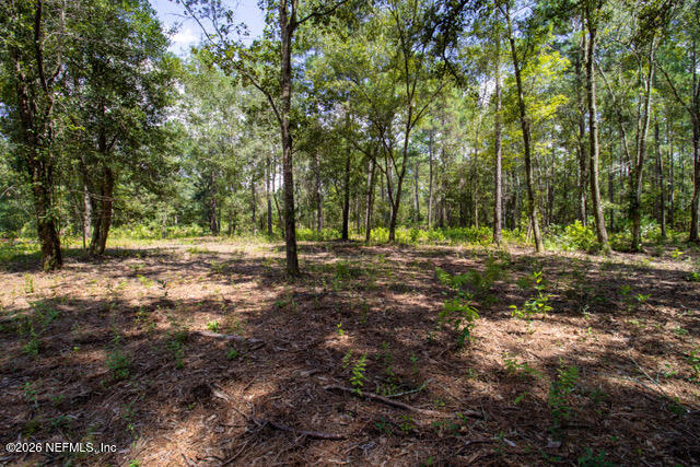 4410 Lori Loop Road Keystone Heights, FL 32656 - Photo 8 of 12 Keystone -18