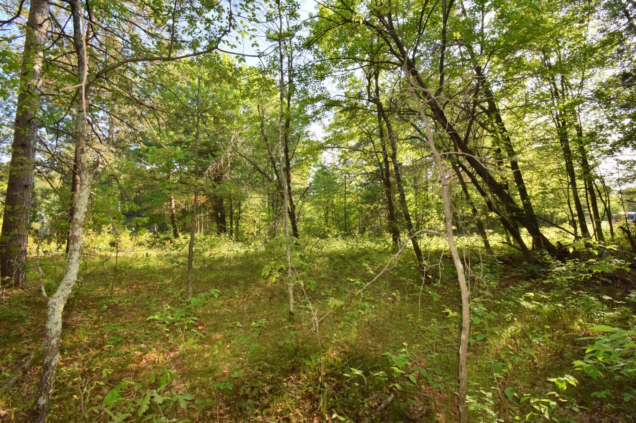 Lot 31 Setting Sun Trail Way Danbury, WI 54830 - Photo 16 of 19
