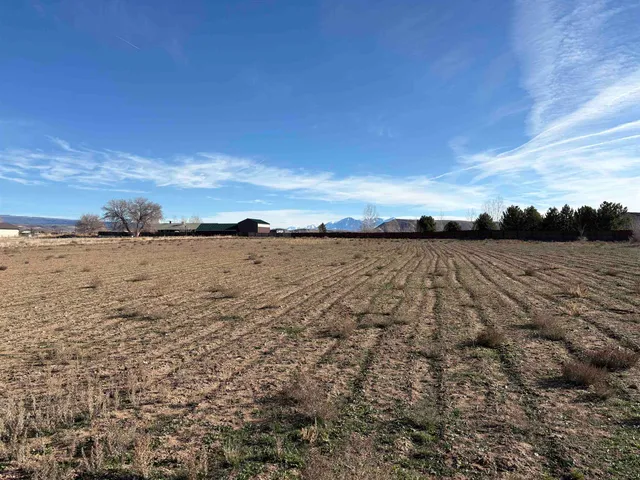 $649,000 | 8350 2085 Road, Austin, CO 81410