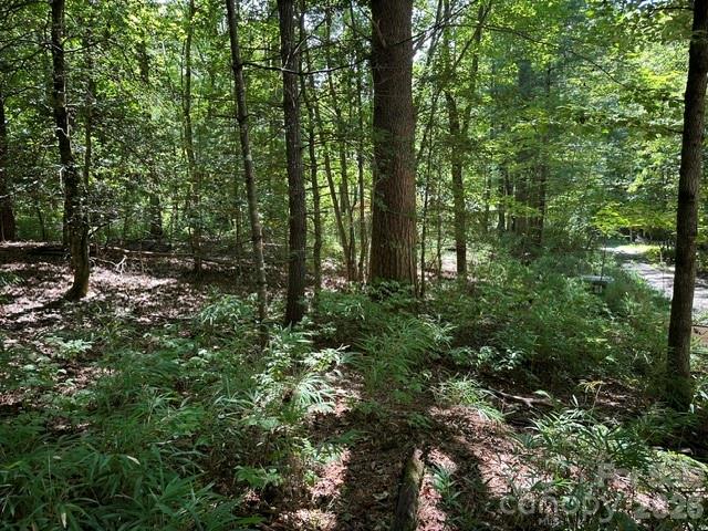 Tbd Blossom Road Brevard, NC 28712 - Photo 2 of 8 Gallery Image 2