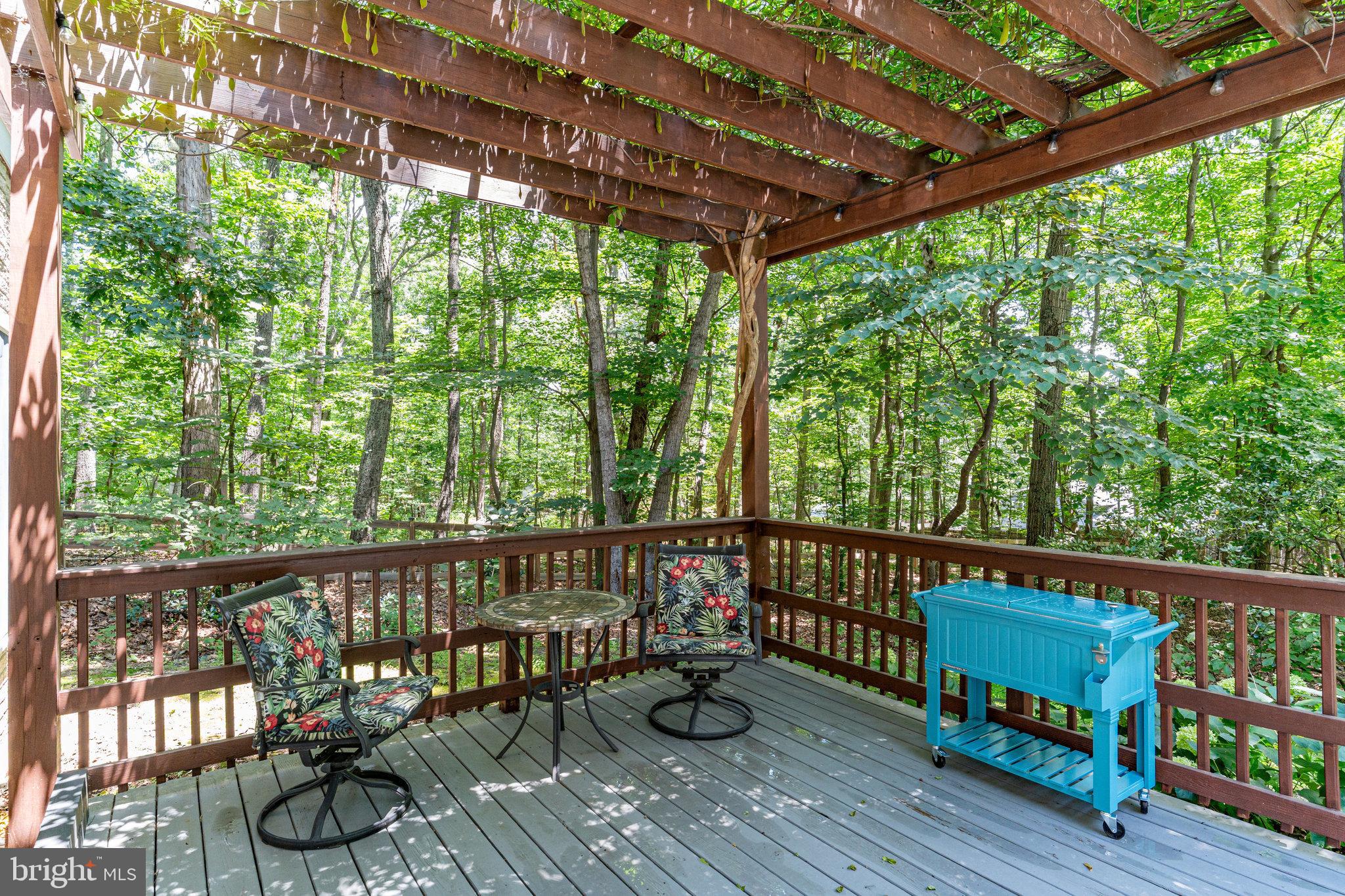 1607 Mercer Road Haymarket, VA 20169 - Photo 42 of 45 Pergola