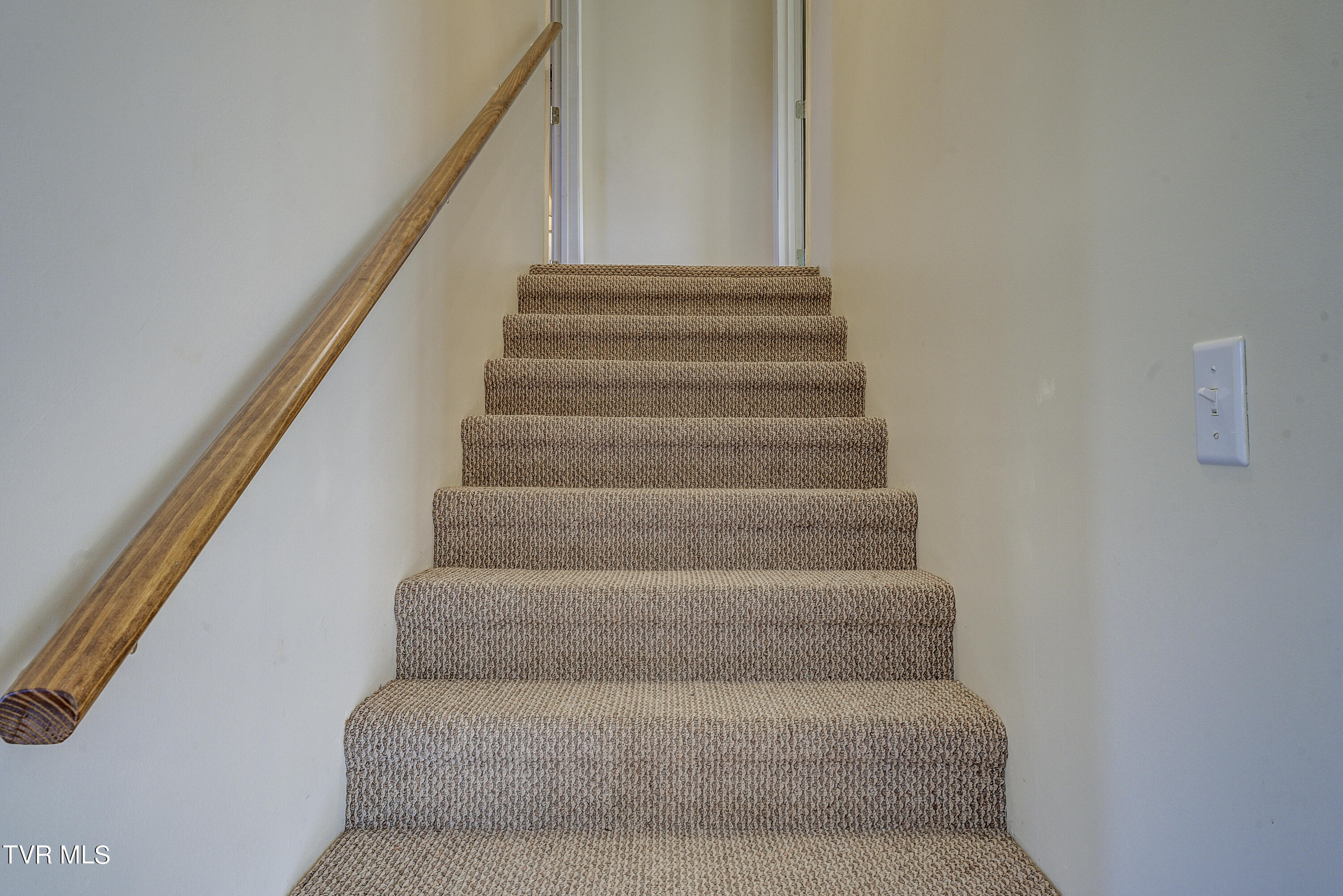 133 Townson Road Roan Mountain, TN 37687 - Photo 24 of 49 Townson-17