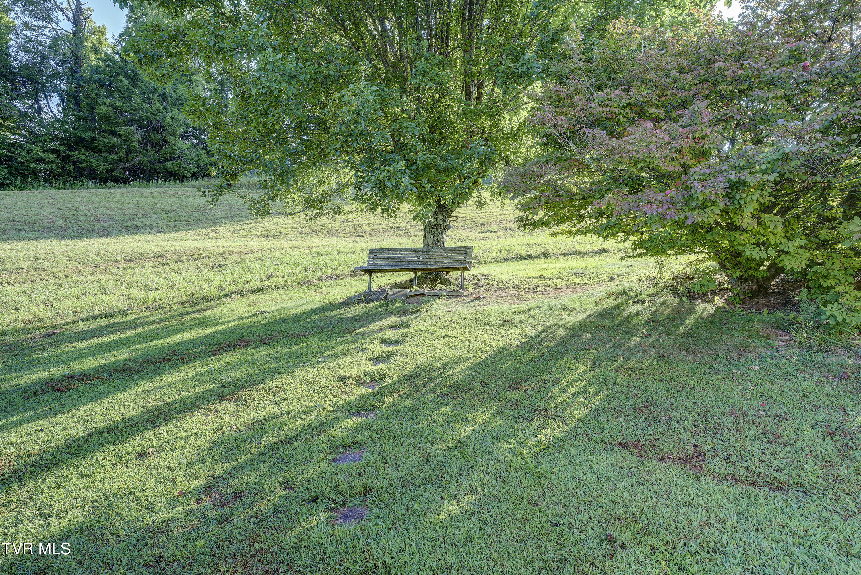 133 Townson Road Roan Mountain, TN 37687 - Photo 47 of 49 Townson-36