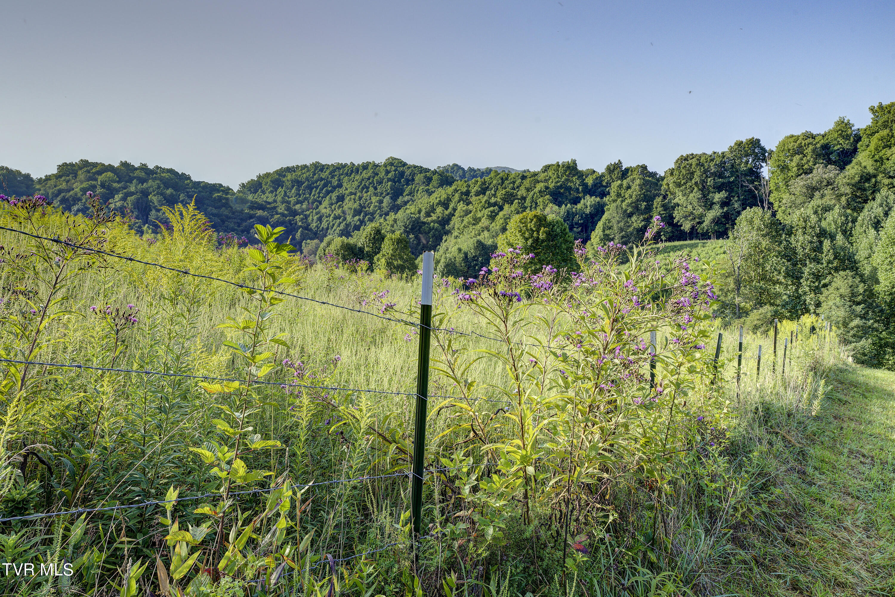 133 Townson Road Roan Mountain, TN 37687 - Photo 48 of 49 Townson-39
