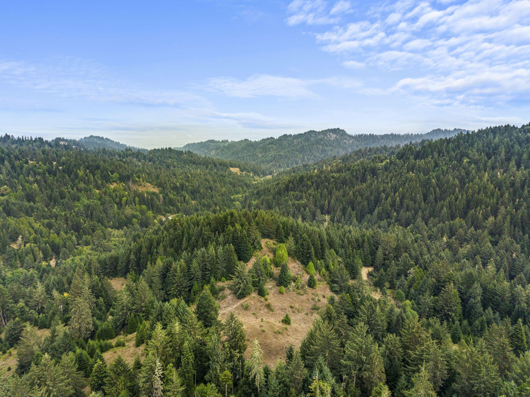 0 Williams Creek Road Ferndale, CA 95536 - Photo 1 of 13