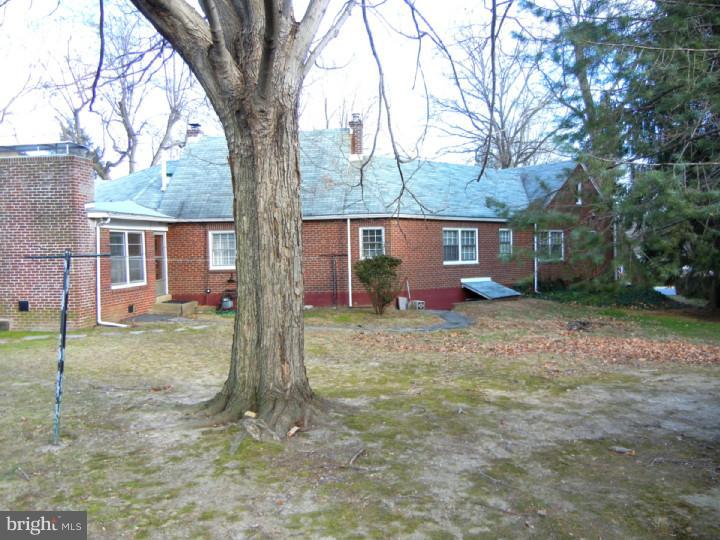 415 East Ridley Avenue Ridley Park, PA 19078 - Photo 18 of 21 Back Yard
