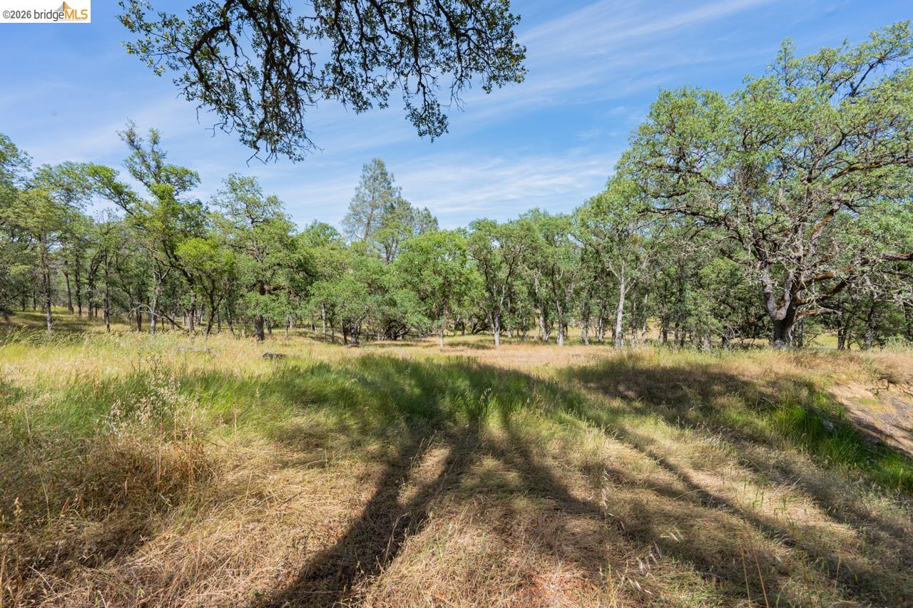 0 Pool Station Road Angels Camp, CA 95222 - Photo 28 of 28