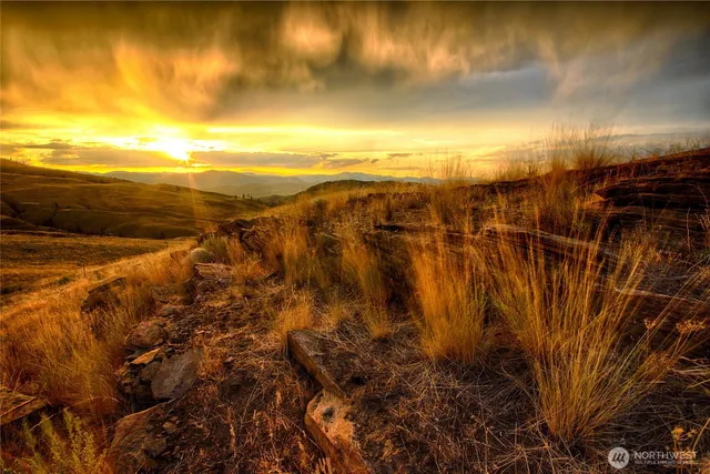 a view of a yard with an ocean view