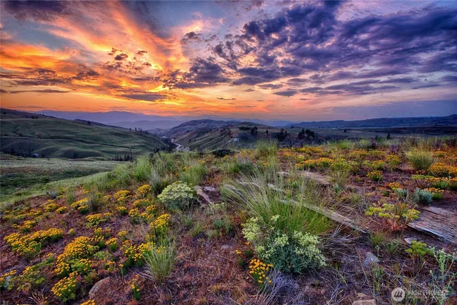 a view of a houses with a lake view