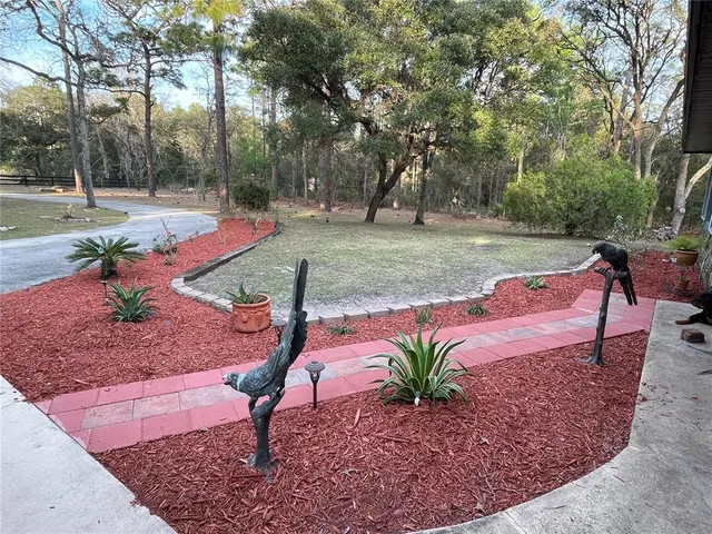 a view of a backyard with large trees