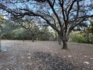 a view of a large tree in front of a house