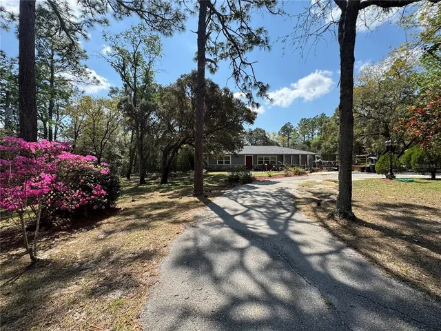 a view of outdoor space with yard