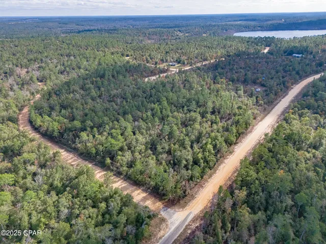 $35,000 | 0 Alene Drive, Alford, FL 32420