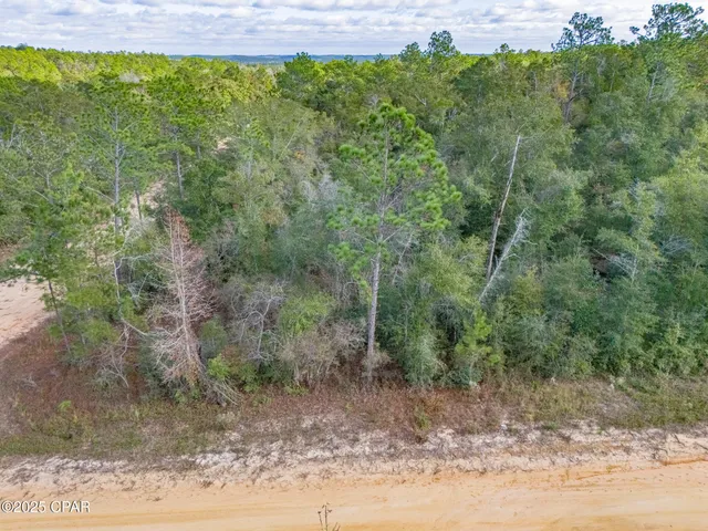 $35,000 | 0 Alene Drive, Alford, FL 32420