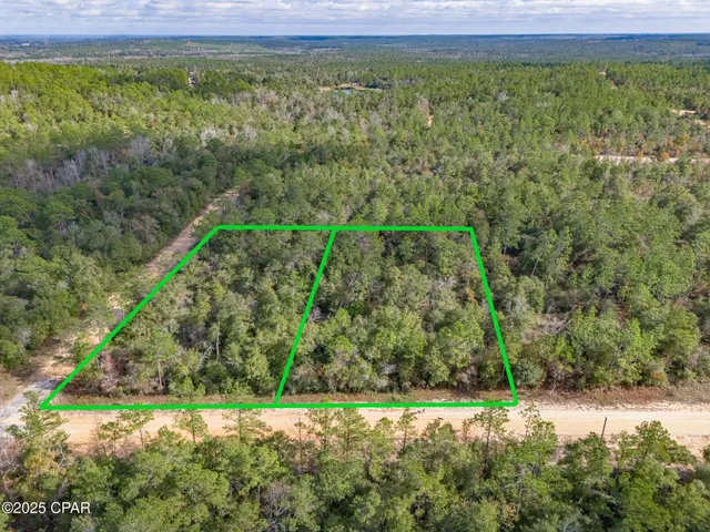 $35,000 | 0 Alene Drive, Alford, FL 32420